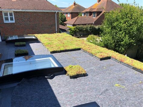 Wallbarns M Tray Modular Green Roof During Installation On A Domestic