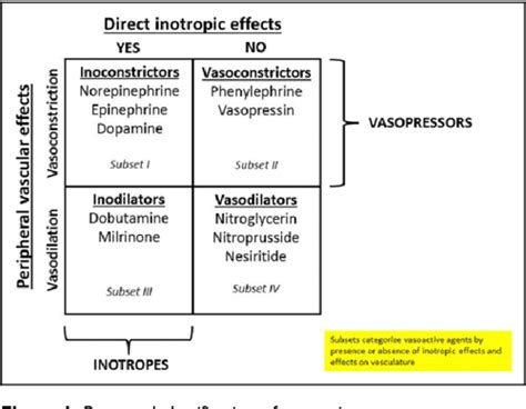 Pharmacotherapy Update On The Use Of Vasopressors And Inotropes In The