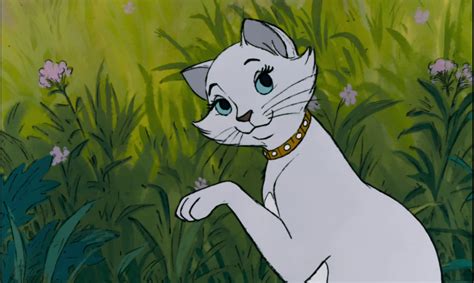 Famous Cartoon Cats You Need To Know About Beyond Science Tv