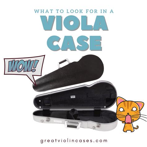 Want To Learn What To Look For When Buying A Viola Case 🤔 Read The