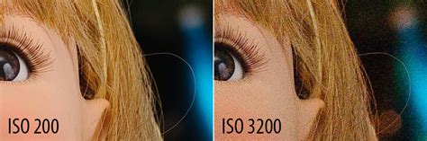 What Is ISO Understanding ISO For Beginners Photography Life