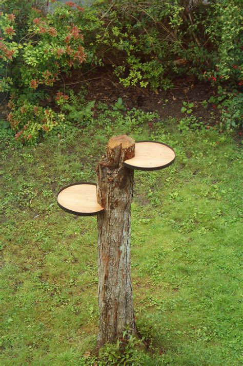 10 Tree Stump Art Ideas