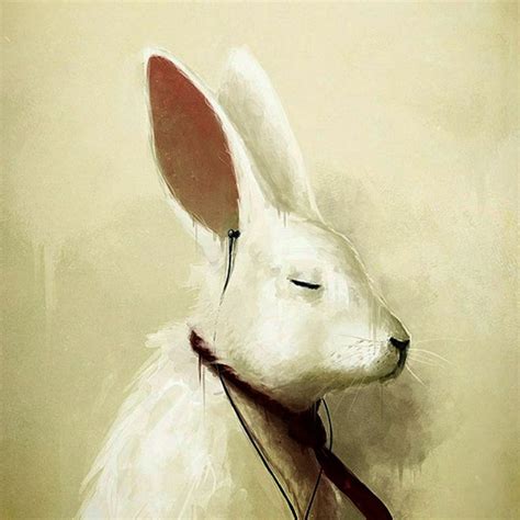 Кролик арт фото — Каталог Фото