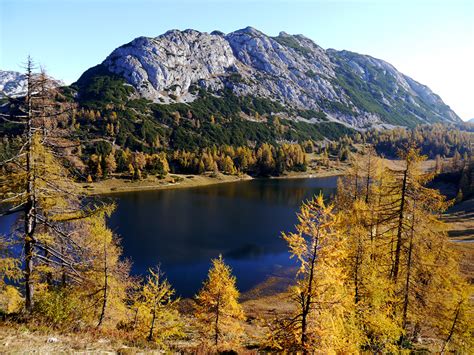 Images Austria Tauplitz Styria Autumn Nature Mountains Lake Trees