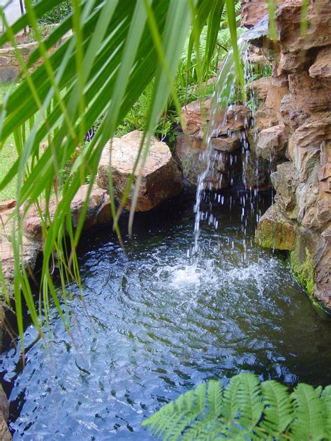 Natural Koi Pond With Waterfalls Created By Andy De Wet And The De Wet