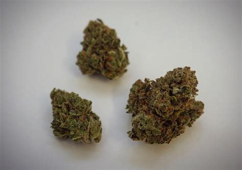 Lambs Bread Why Colorado Tokers Love This Strain Westword