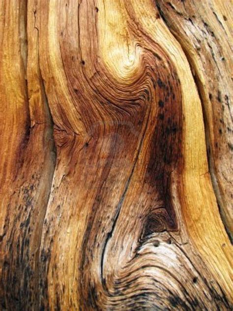 59 best Wood Species images on Pinterest | Wood species, Woodworking ...