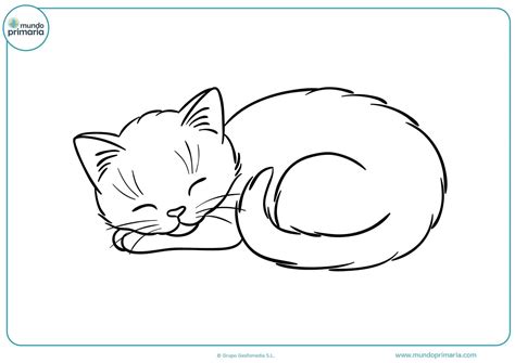 Dibujos De Gatos Para Imprimir Y Colorear Mundo Primaria