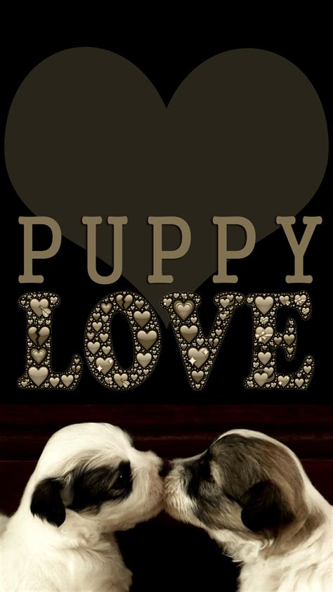 I Love Puppies I Love Puppies Home Facebook The Best S For I