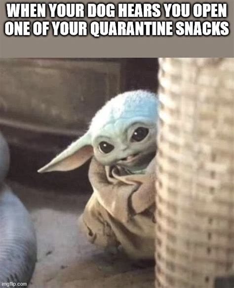 Pin By Scentbars On Baby Yoda Yoda Funny Yoda Meme Yoda