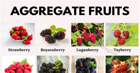 Aggregate Fruit Names List Of 20 Aggregate Fruits With Their