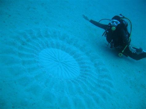 Japans Mysterious Underwater Circles Are Lovely Underwater Crop