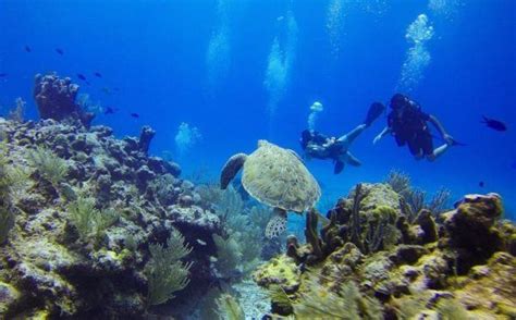 Las Mejores Fotos De Mar 2018