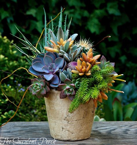 Floral Style Succulent Container Arrangement From The