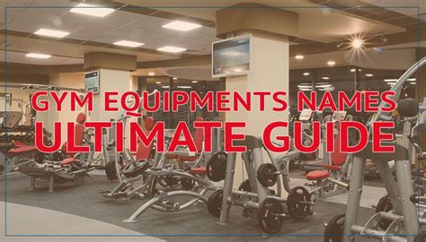 Ultimate Guide Gym Equipment Names Gym Machine Names Gym Equipment Guide