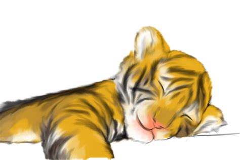 Baby Tiger By Sparkxz On Deviantart