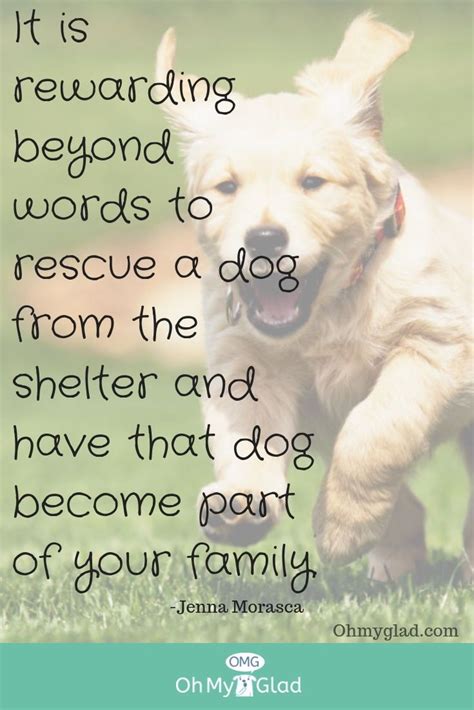 Rescue Dogs As Much As You Can Puppy Dog Dogs Pet Pets Cute
