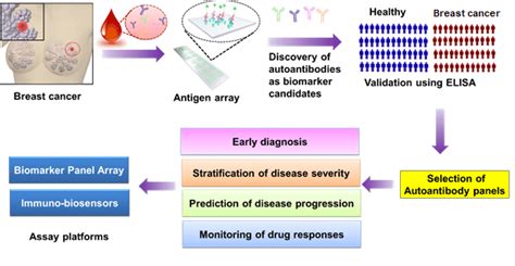 Flowchart Of Autoantibody Biomarker Discovery And Detection In Breast