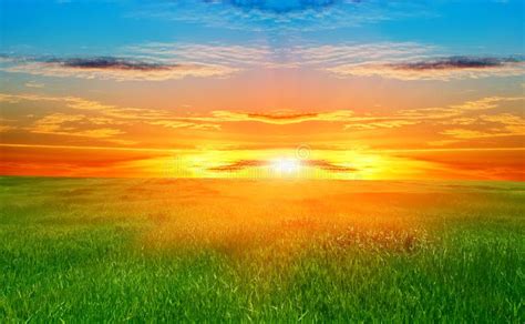Green Field And Beautiful Sunset Stock Image Image Of Lonely