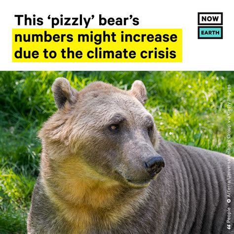 Nowthis On Twitter The Climate Crisis Is Increasing The Numbers Of