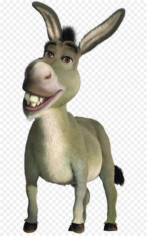 Donkey Shrek Princess Fiona Puss In Boots Dragon Donkey Png Png