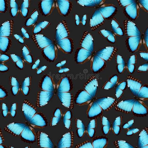 Blue Butterflies Texture Exotic Unusual Background Many Blue