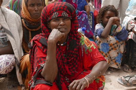 The Afars Eritreas Forgotten Refugees Fpif