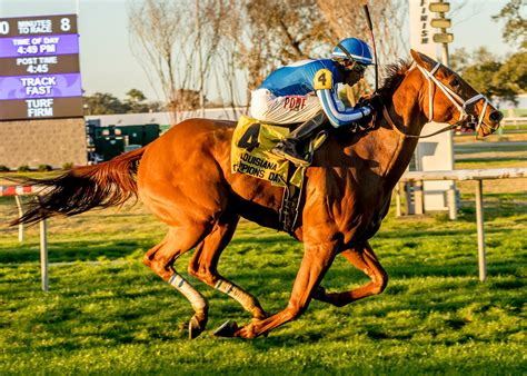 Who Took the Money surges to Louisiana Champions Day Turf victory