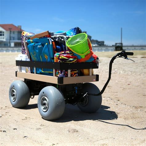 Electric Beach Cart 24 X 48 Electric Beach Cart Beach Wagon Diy