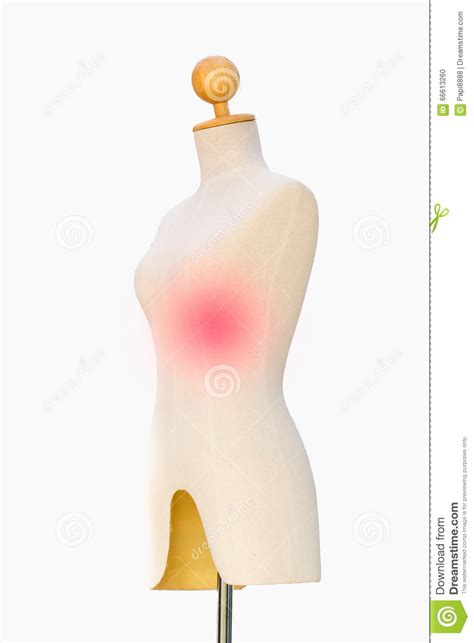 Dummy Heart Pain Medical Model Of Body Human Isolated On White Stock