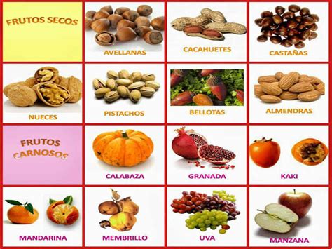 Tipos De Frutos Caracteristicas Clasificacion Y Mas Images