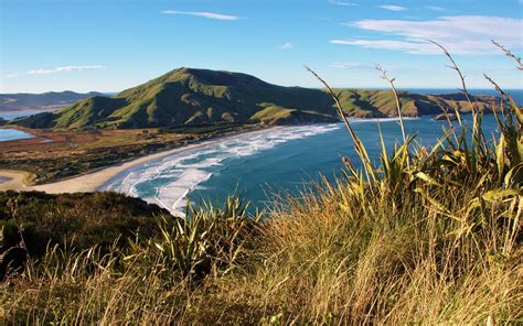 Allans Beach South Island New Zealand World Beach Guide