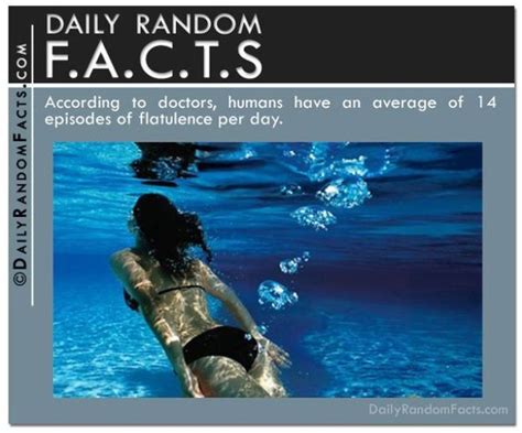Random Facts 37 Pics