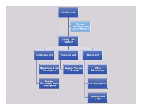Organizational Chart Of Office Of The Coroner Adams And Broomfieldoffice