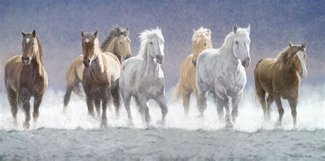 Seven Horse Running Images Full Hd Carrotapp