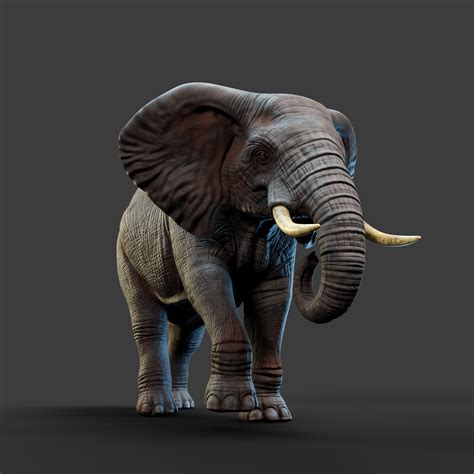 Artstation Elephant