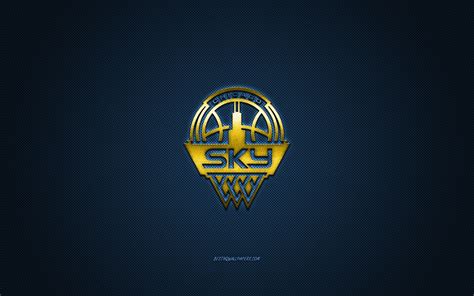 Download Wallpapers Chicago Sky American Basketball Club Wnba Yellow Logo Blue Carbon Fiber