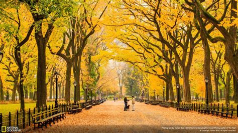 Autumn At Central Park New York 2016 National Geographic Wallpaper