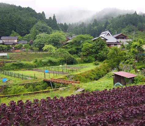Nostalgic View Ohara Natural Landmarks Travel Farmland