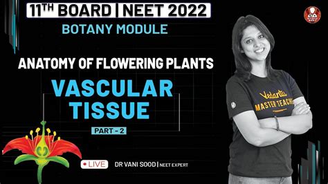 Anatomy Of Flowering Plants 02 Vascular Tissue Class 11 Neet