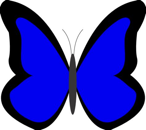 Clipart Blue Butterfly Clip Art Library