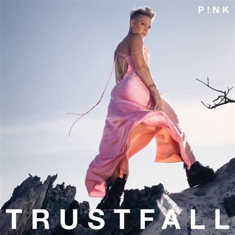 Trustfall By P Nk On Apple Music