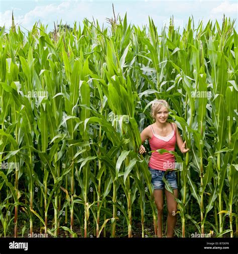 Girl In A Corn Field Stock Photo Alamy