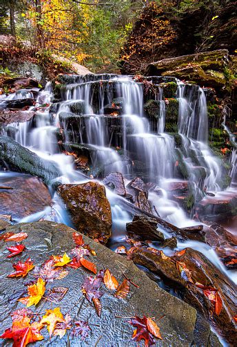 Silky Smooth Waterfall From Ricketts Glen State Park In The Midst Of
