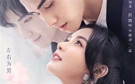 Sinopsis Drama China Terbaru Fall In Love Yang Tayang Di Youku