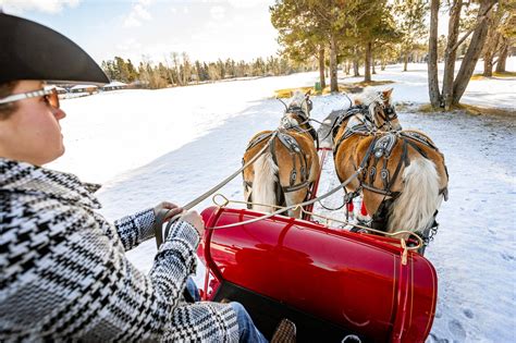 Take a Real Horse-Drawn Sleigh Ride Though Oregon's Winter Wonderland