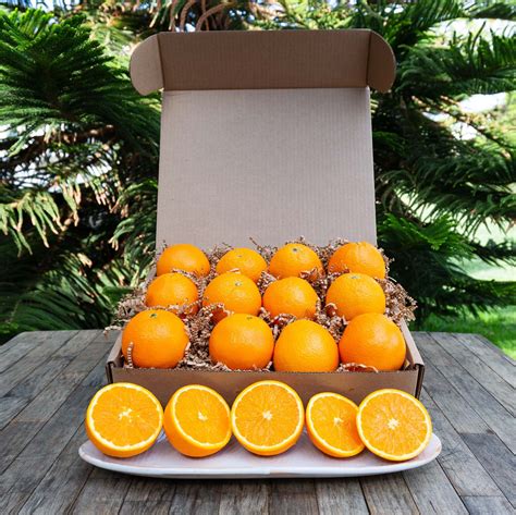 Organic Navel Oranges In 2022 Navel Oranges Oranges Fresh Fruit