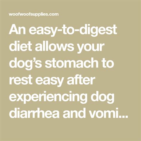 Sick Dog Easy To Digest Dog Food Guide Digest Diet Dog Food Recipes