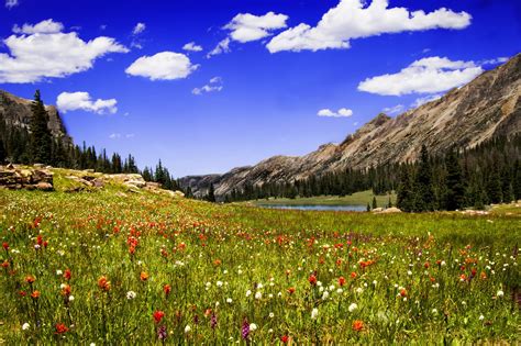 Clouds Mountains Lake Meadow Grass Flowers Wallpaper 2048x1365