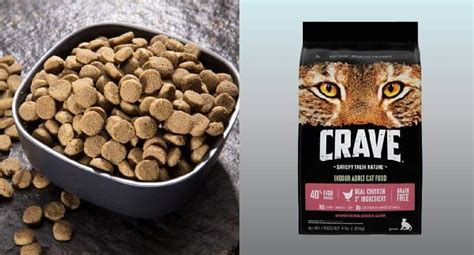 The 9 best premium dry cat foods of 2021, according to a veterinarian. Crave Cat Food Reviews 2020 - Do Not Buy Before Reading This!